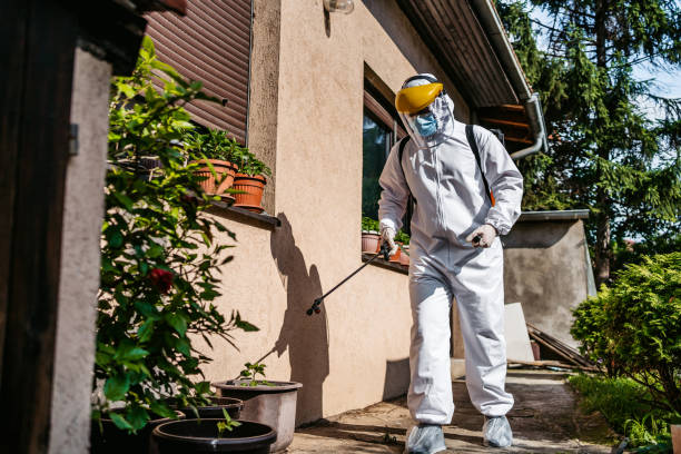Best Wasp Removal Services  in Terre Hill, PA
