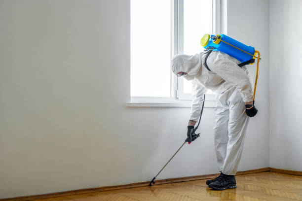 Flea Control Services in Terre Hill, PA
