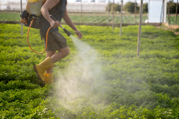 Best Local Pest Control Services  in Terre Hill, PA