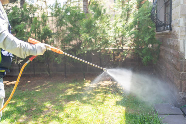 Wasp Removal Services in Terre Hill, PA