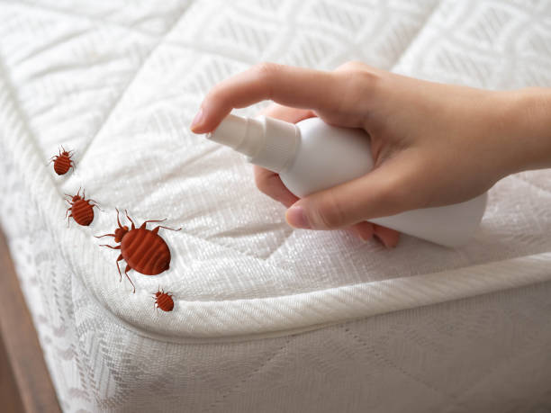 Best Bed Bug Extermination  in Terre Hill, PA
