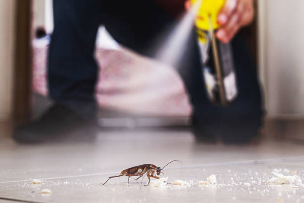 Best Wildlife Control Services  in Terre Hill, PA