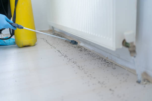Best Residential Pest Control  in Terre Hill, PA