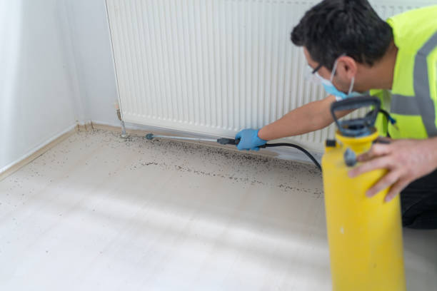 Best Pest Removal Services  in Terre Hill, PA