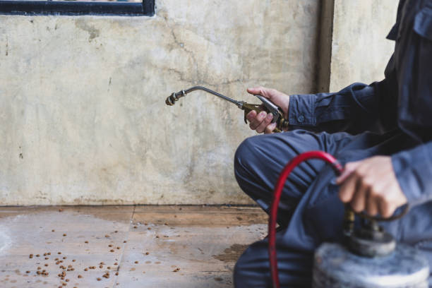 Best Best Pest Control Companies  in Terre Hill, PA